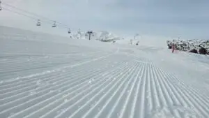 Бъндерица